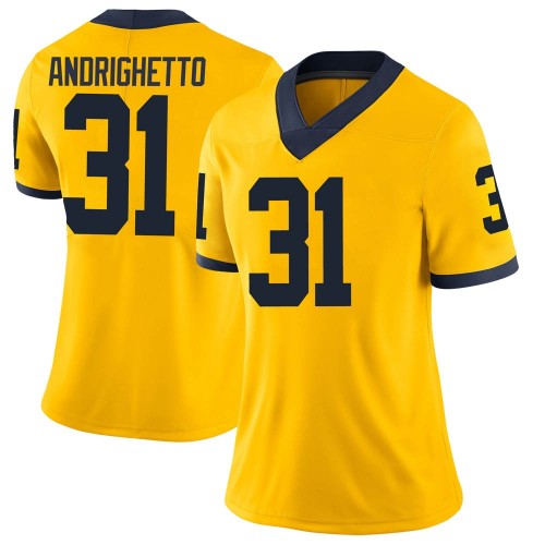 Lucas Andrighetto Michigan Wolverines Women's NCAA #31 Maize Limited Brand Jordan College Stitched Football Jersey OAW4054GQ